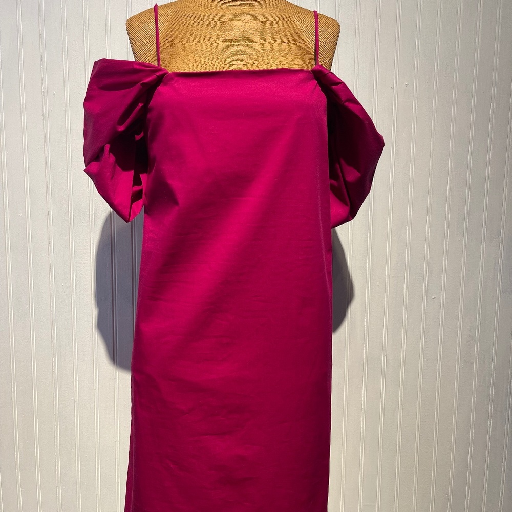 Classic Draped Sleeve Dress